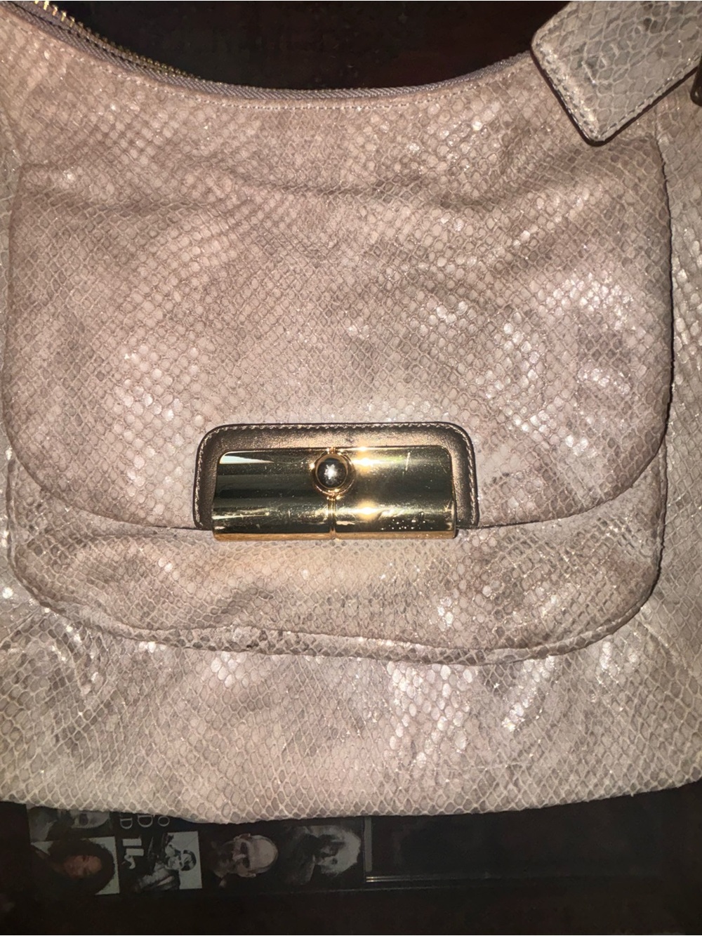 ✨ Authentic Coach Kristin Metallic Python Embossed Hobo Bag ✨ - Picture 2 of 4